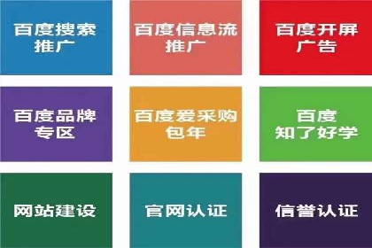 案例分享：SEM推广助力电商快速崛起